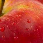 Jak nainstalovat iOS 16 na iPhone, watchOS 9 na Apple Watch a tvOS 16 na Apple TV